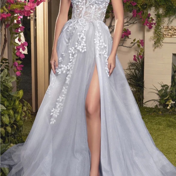 Prom Dress - Picture 3 of 3